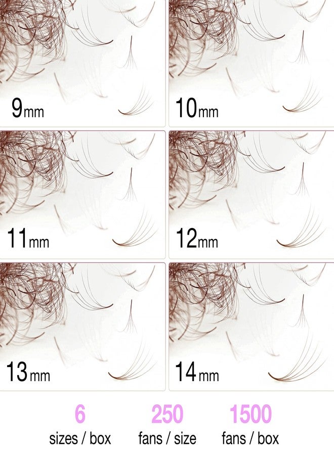 Curacoro Colored Promade Mix 1500 Fans | 5D Handmade Volume Eyelashes | CC Curl | 9-14mm Mixed Length | Long Lasting | Easy Application (Dark Brown, 5D CC 9-14mm) - Image 4